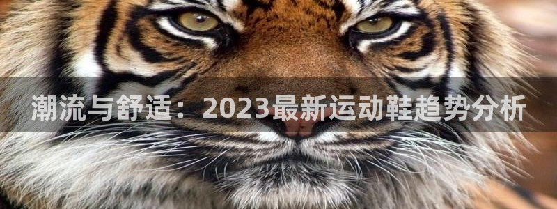 678体育知识