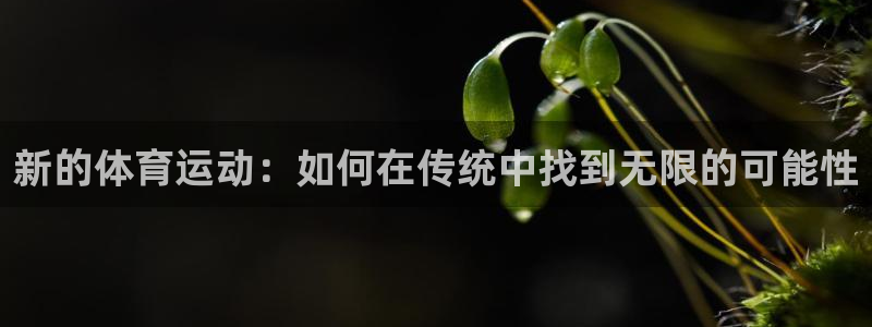 678体育
