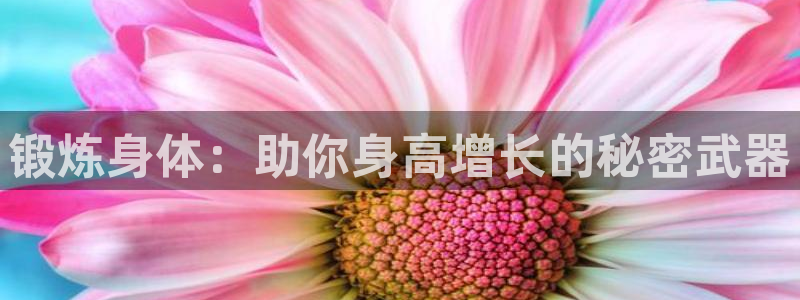 678体育知识