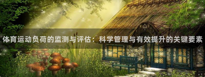 678体育app