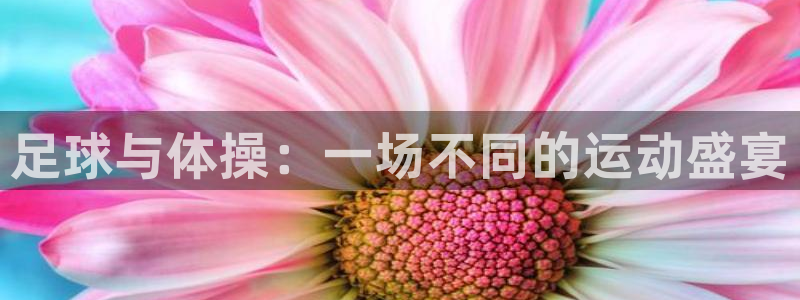 678体育官网