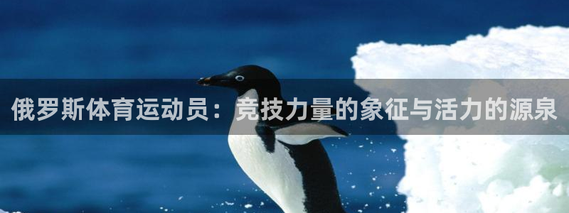 678体育app