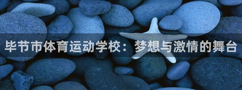 678体育官网