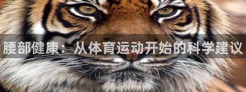 皇冠678体育