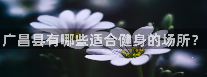 678体育