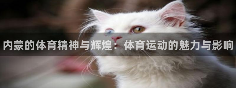 678体育官网