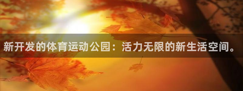678体育app
