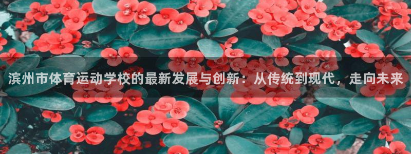 678体育