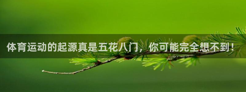 678体育官网