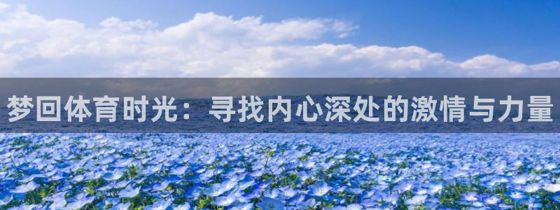 678体育app