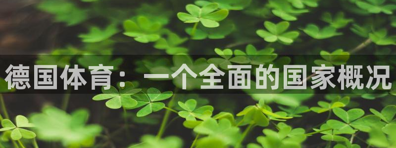 678体育知识