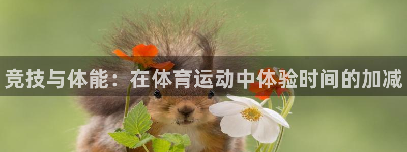 678体育