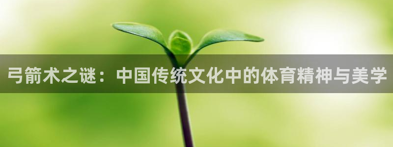 678体育app
