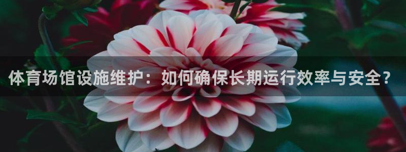 678体育知识