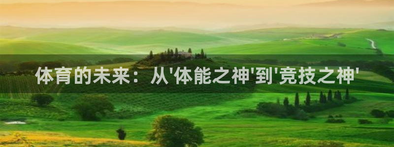 678体育