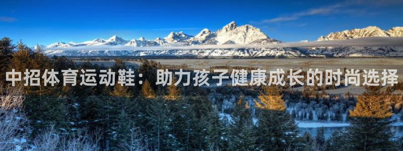 678体育
