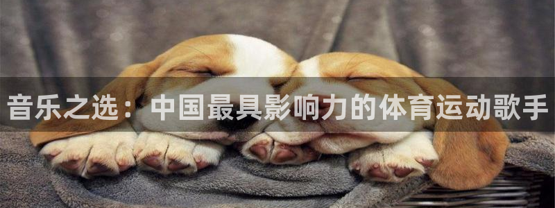 678体育
