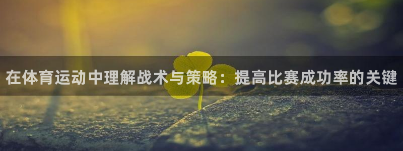 678体育官网
