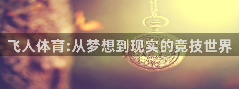 678体育app