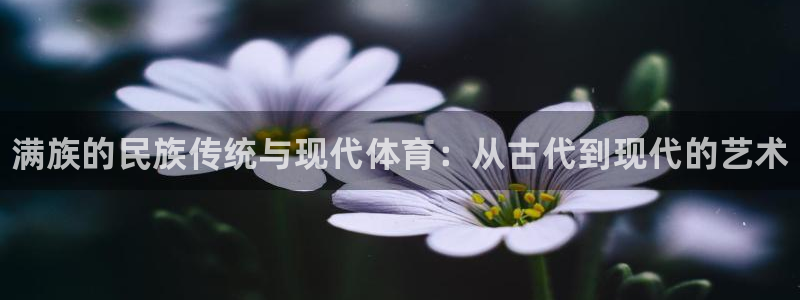 678体育知识