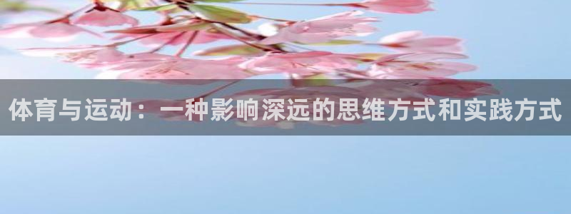 678体育app
