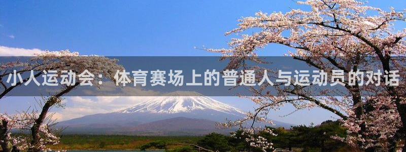 678体育官网