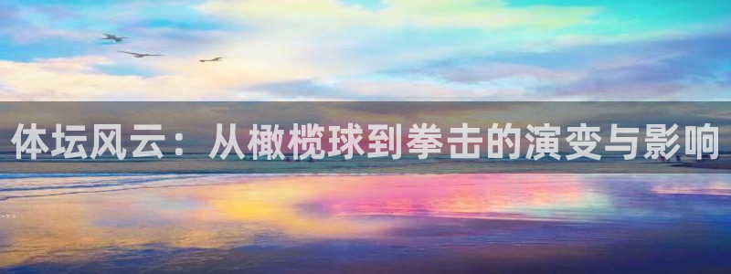 678体育知识