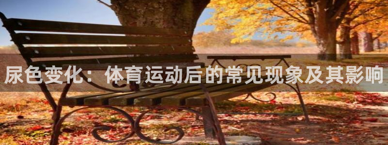 678体育官网