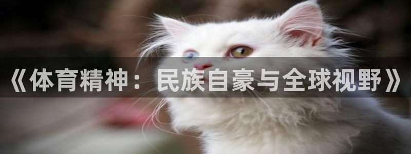 678体育官网下载