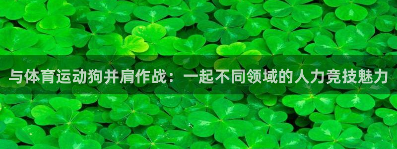 678体育app