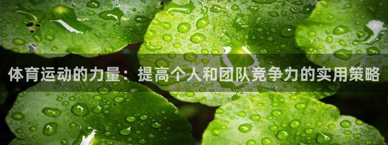 678体育官网地址