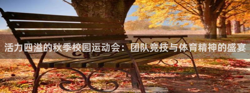 678体育app
