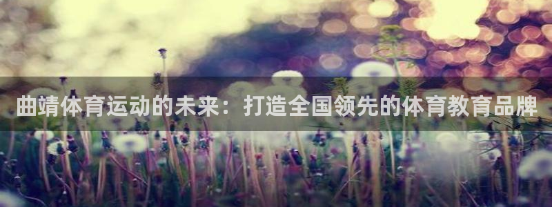 678体育官网
