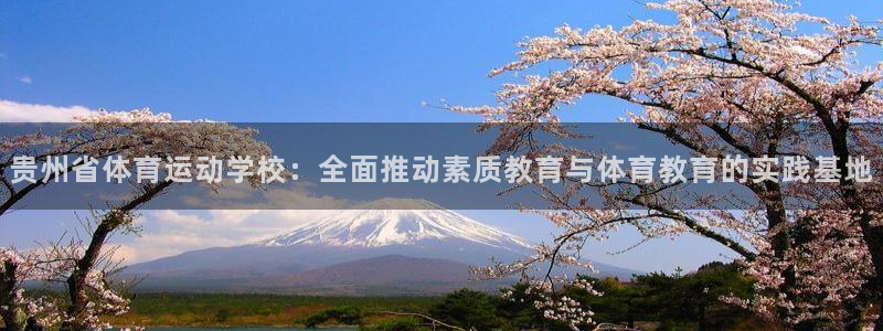 678体育官网地址